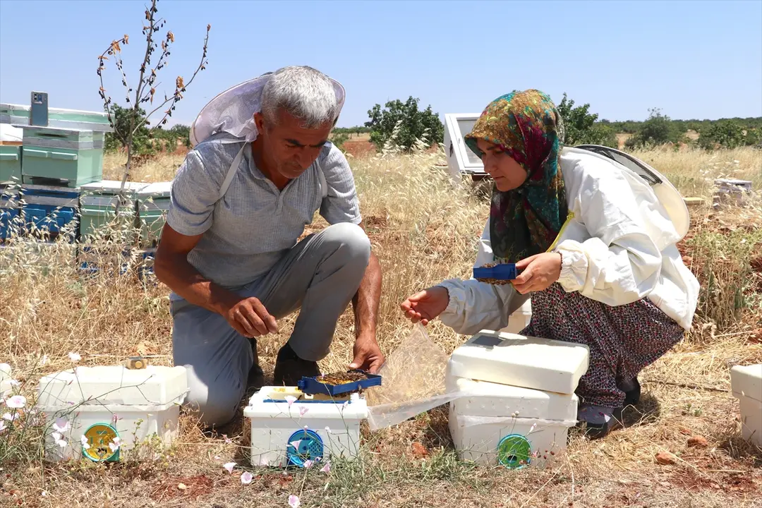 Arıcılık hobisini eşinin desteğiyle mesleğe dönüştürdü