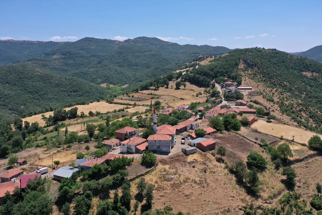 İlmek ilmek dokunan Yağcıbedir halıları kişinin vefatının ardından camiye seriliyor