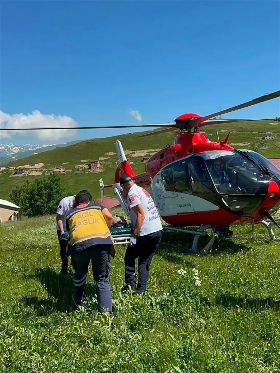 Fatma B: Mantar zehirlenmesi şüphesiyle helikopterle hastaneye kaldırıldı