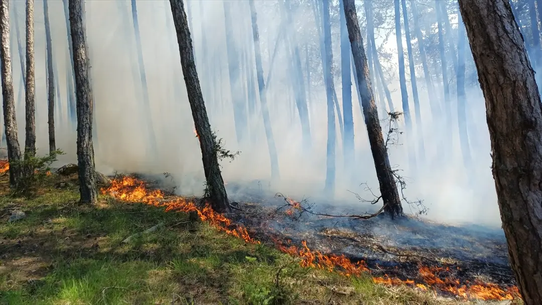 Kastamonu'da Orman Yangını Söndürüldü
