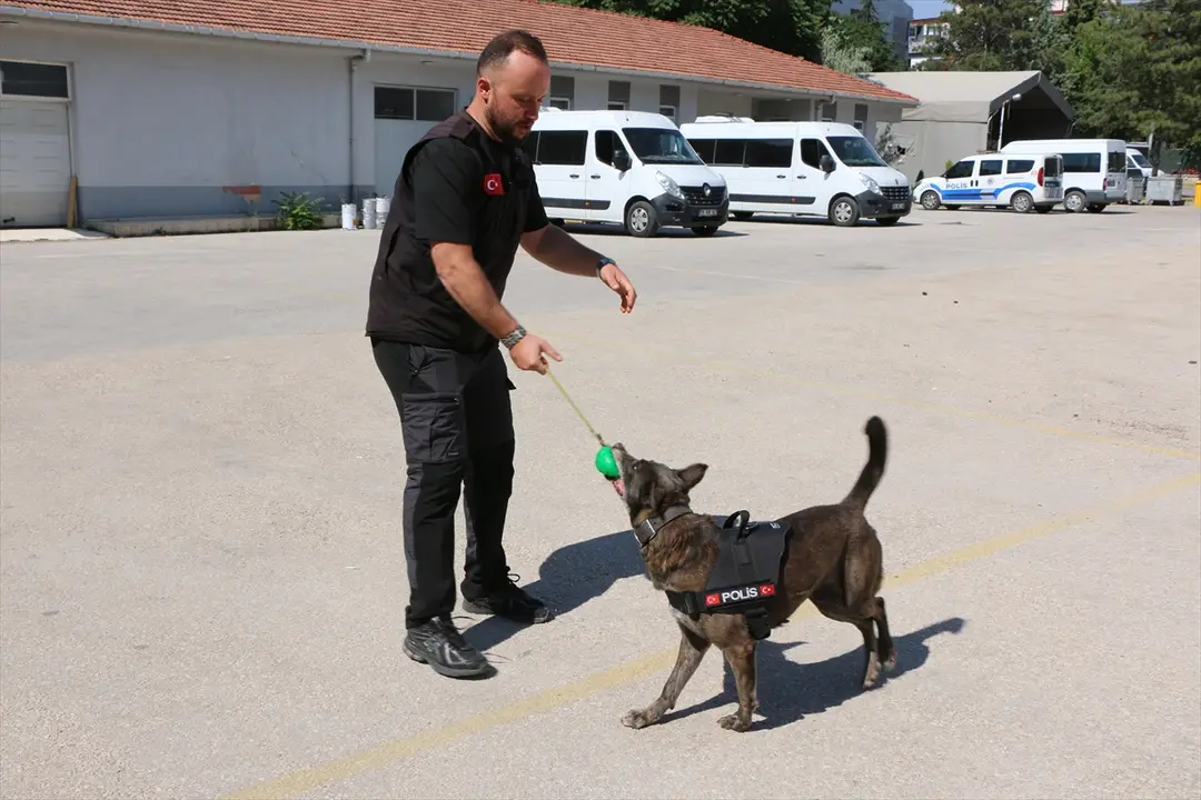 Eskişehir emniyetinin hassas burunları, uyuşturucuyla mücadelede rol alıyor