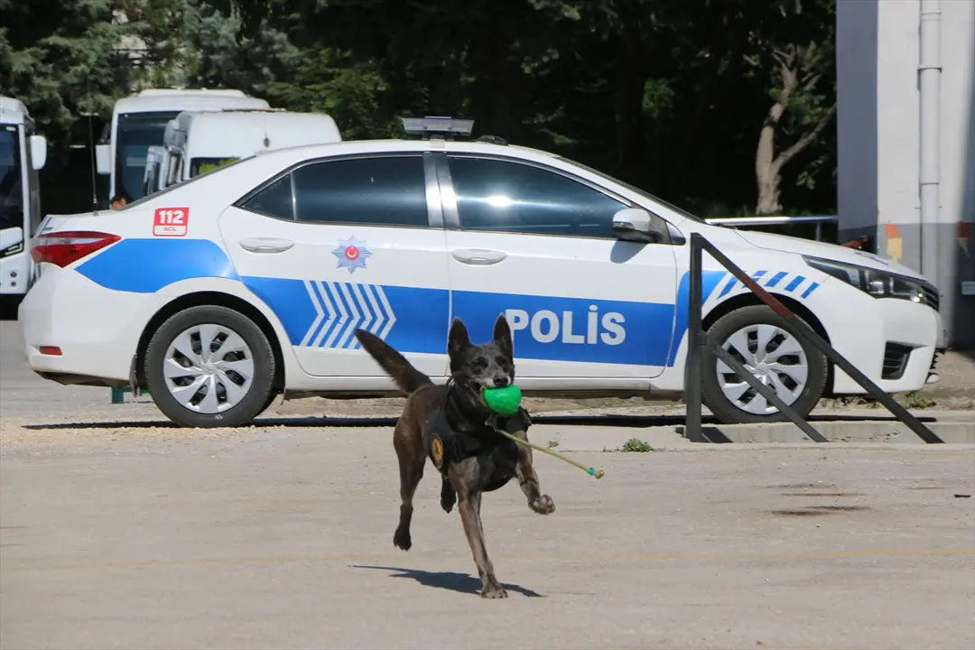 Eskişehir emniyetinin hassas burunları, uyuşturucuyla mücadelede rol alıyor