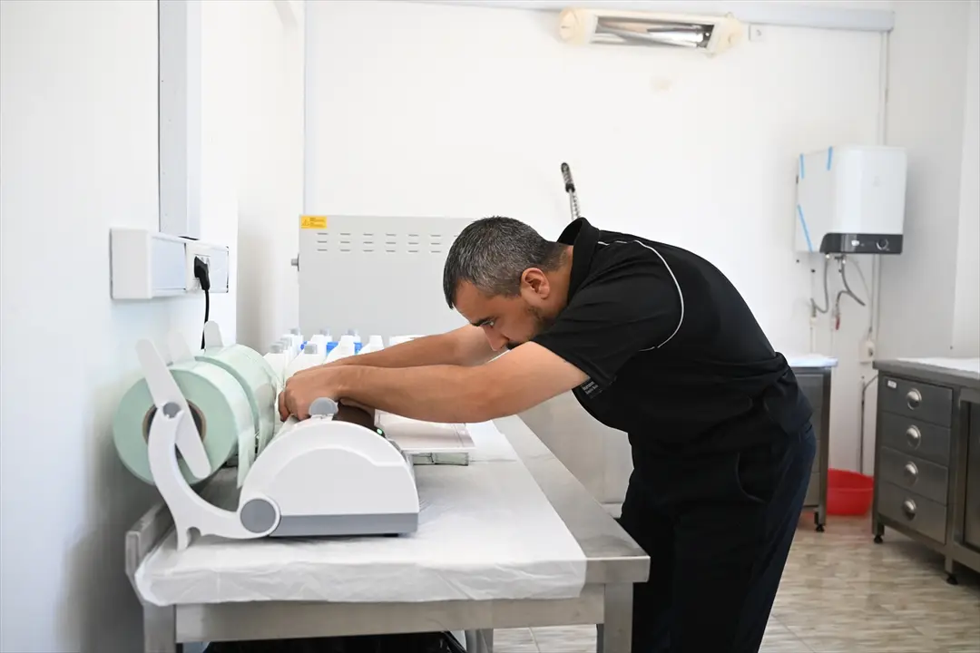 Kahramanmaraş'ta sahipsiz hayvanlar için 195 dönümlük doğal yaşam alanı oluşturuldu