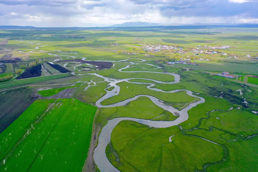 Kars'ta yağışlarla canlanan menderesler tarım ve hayvancılığa katkı sunuyor
