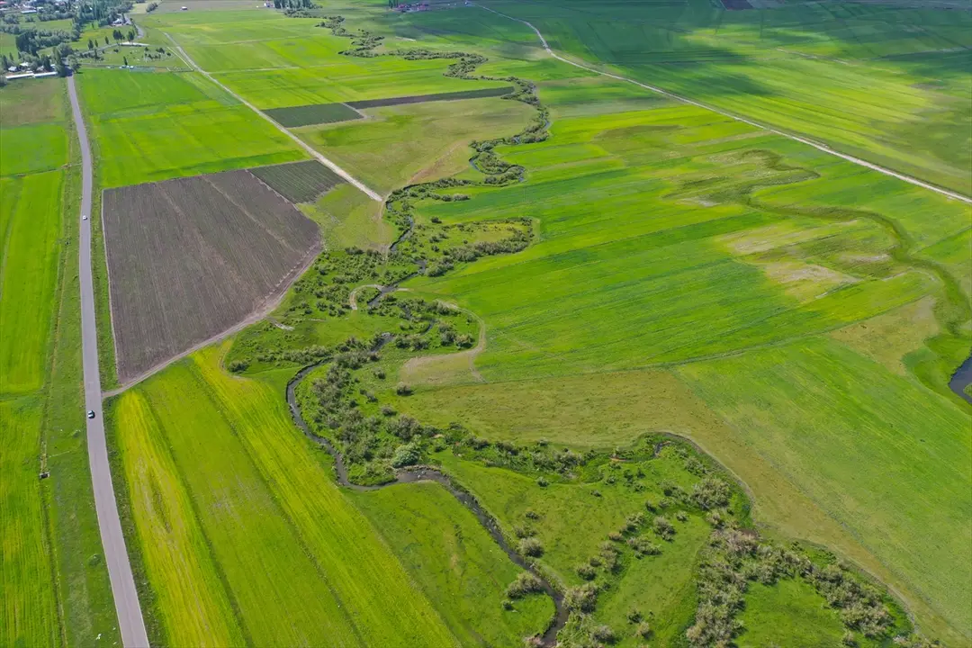 Kars'ta yağışlarla canlanan menderesler tarım ve hayvancılığa katkı sunuyor