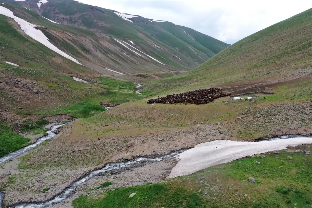 Ağrı'da 3 bin rakımlı dağlarda yaz ve kış bir arada yaşanıyor