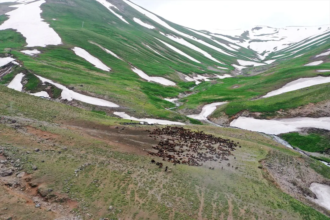 Ağrı'da 3 bin rakımlı dağlarda yaz ve kış bir arada yaşanıyor
