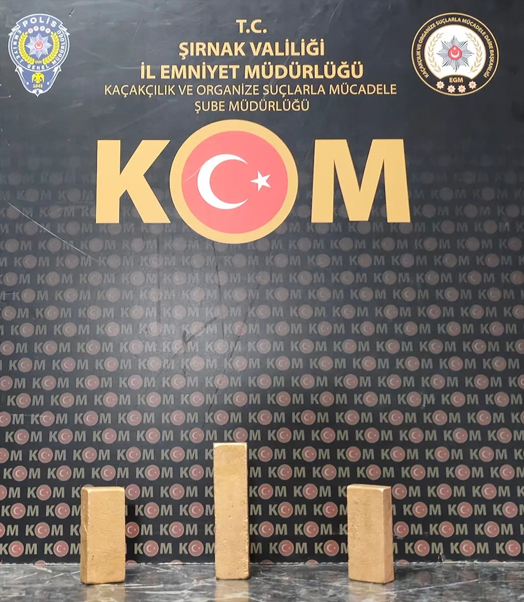 Şırnak'ta 2 kilo 100 gram altın yakalandı