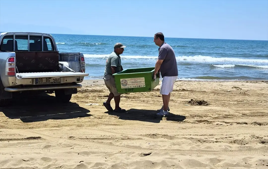 3 Caretta Caretta Sahilde Ölü Bulundu