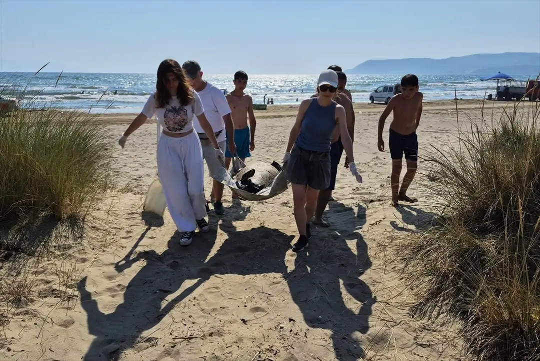 3 Caretta Caretta Sahilde Ölü Bulundu