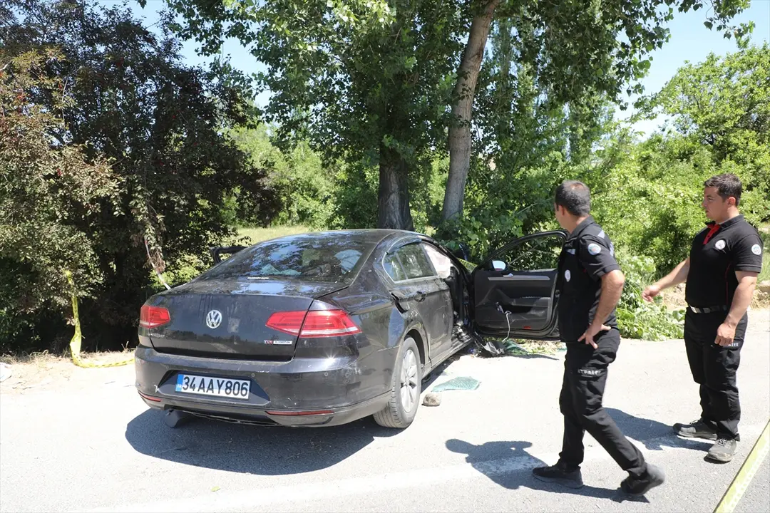 Malatya'da ağaca çarpan otomobildeki 2 kişi öldü, 4 kişi ağır yaralandı
