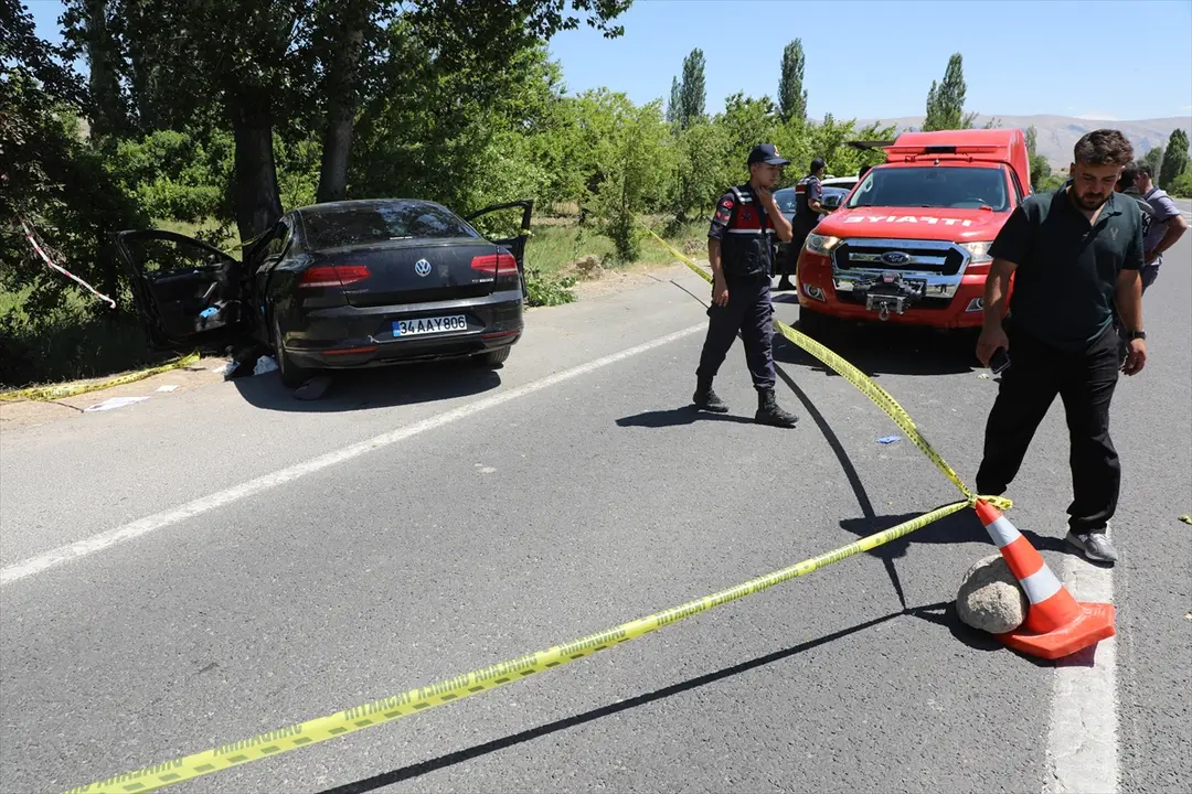 Malatya'da ağaca çarpan otomobildeki 2 kişi öldü, 4 kişi ağır yaralandı