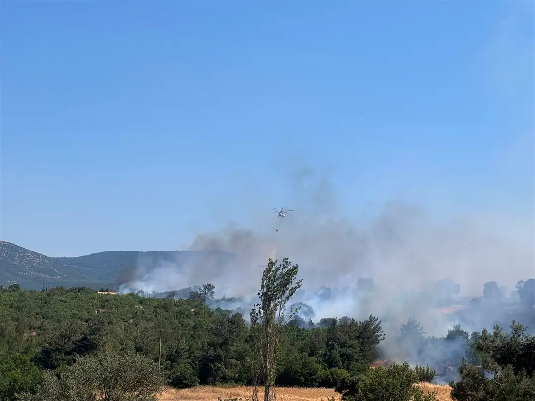 Altıeylül'de orman yangınına müdahale ediliyor