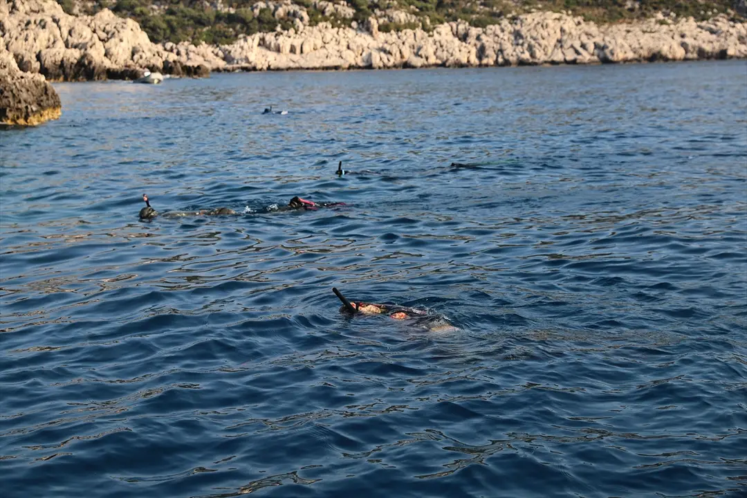 Antalya'da 151 Aslan Balığı Avlandı