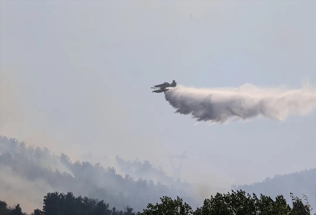 Balıkesir'in Altıeylül ilçesinde çıkan orman yangınına müdahale ediliyor