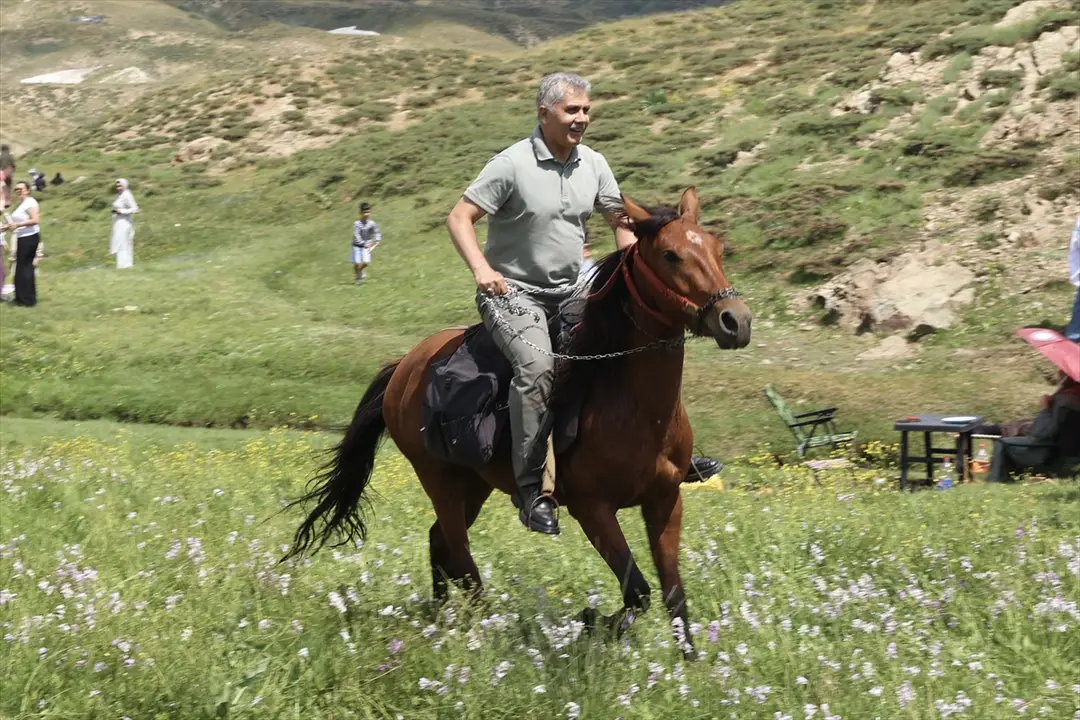Vali Çelik: Çotla Festivali'nde ata bindim, ot biçtim