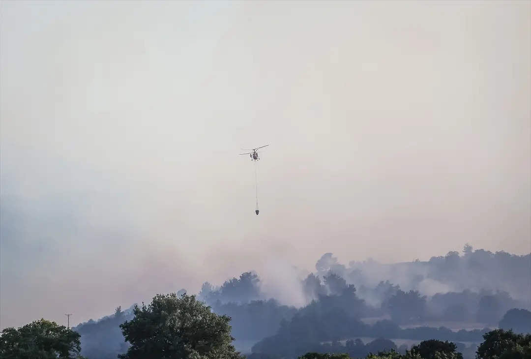 Balıkesir'in Altıeylül ilçesinde çıkan orman yangınına müdahale ediliyor