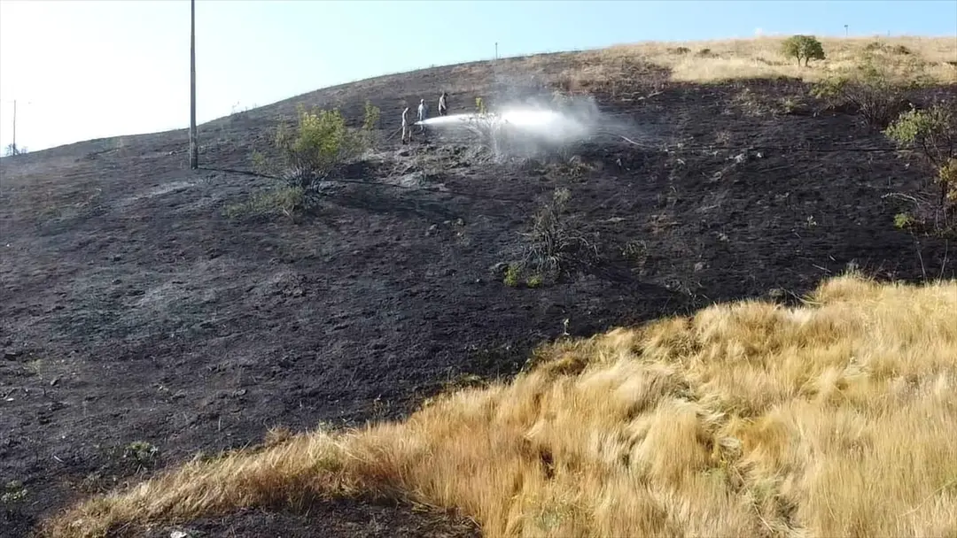Bursa'da merada çıkan yangın söndürüldü
