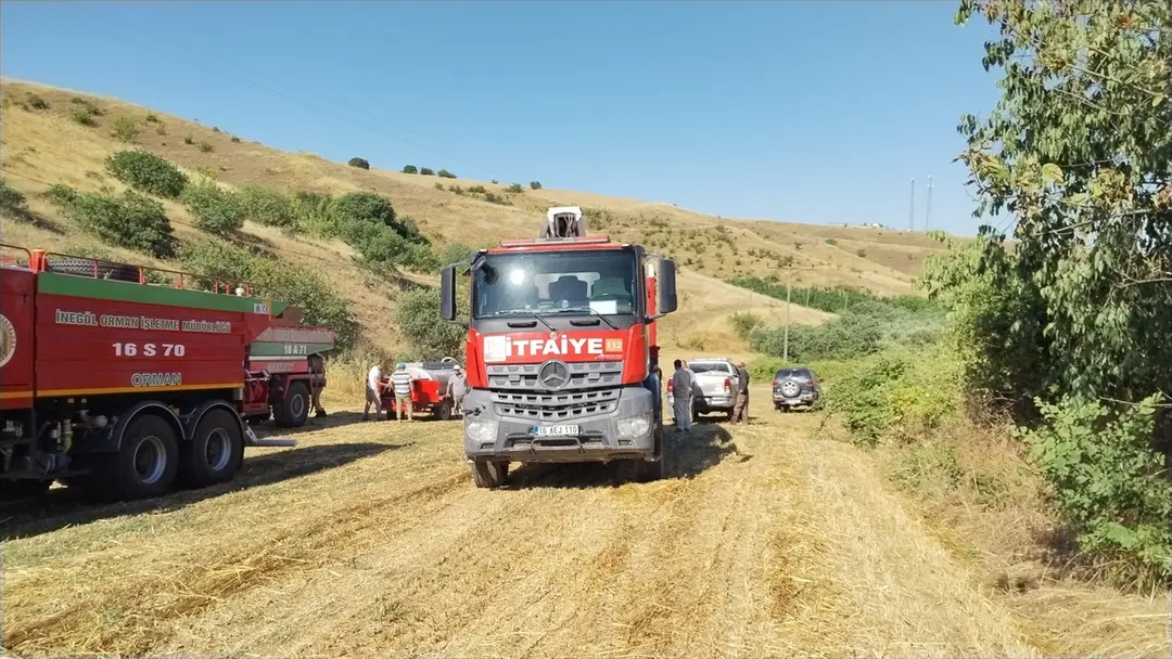 Bursa'da merada çıkan yangın söndürüldü