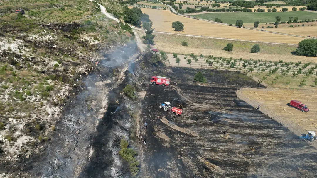 Manisa'da çıkan yangınlar kontrol altına alındı