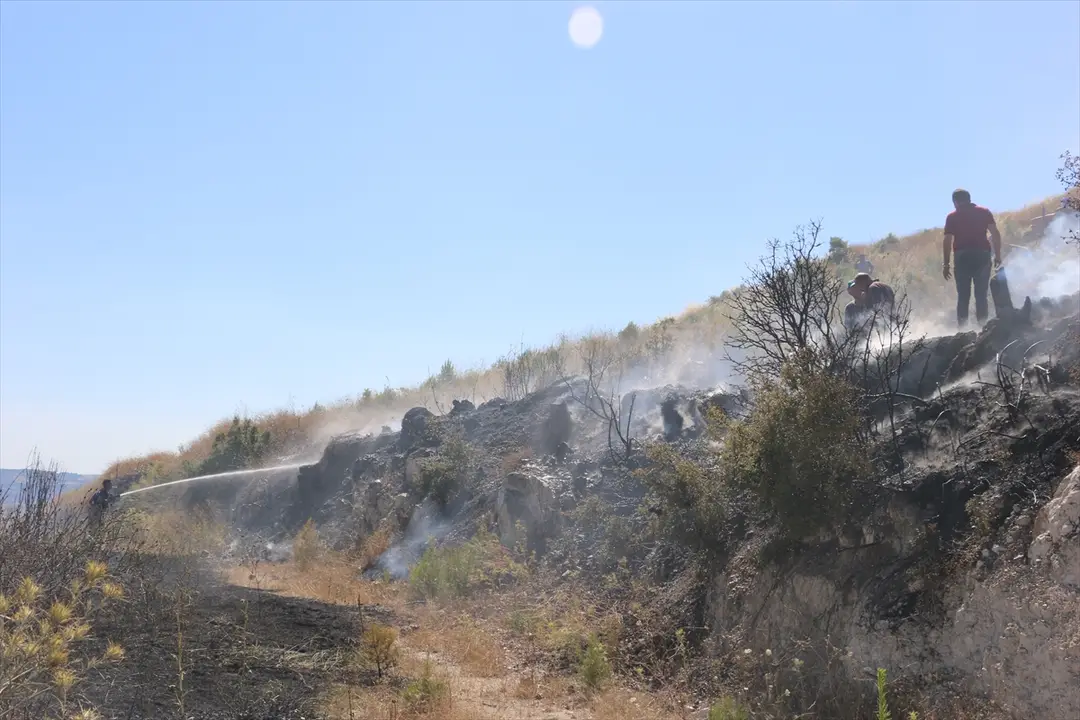Manisa'da çıkan yangınlar kontrol altına alındı