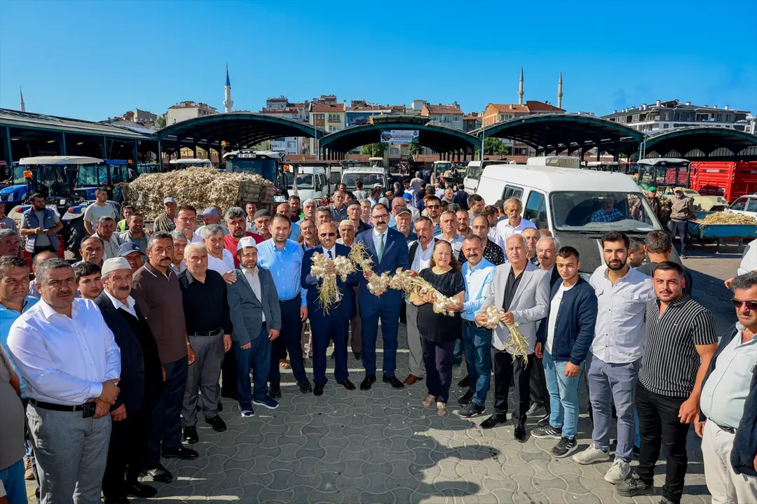 Taşköprü Sarımsak Pazarı açıldı