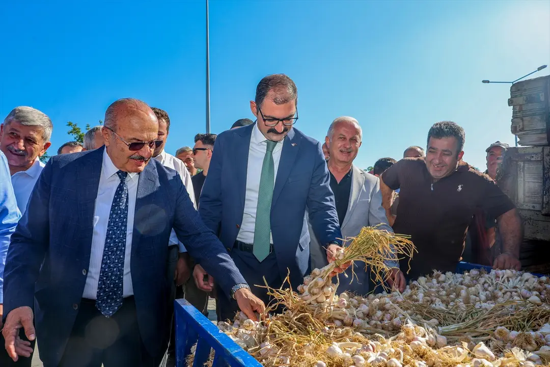 Taşköprü Sarımsak Pazarı açıldı