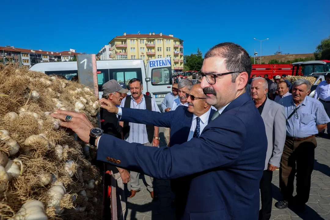 Taşköprü Sarımsak Pazarı açıldı