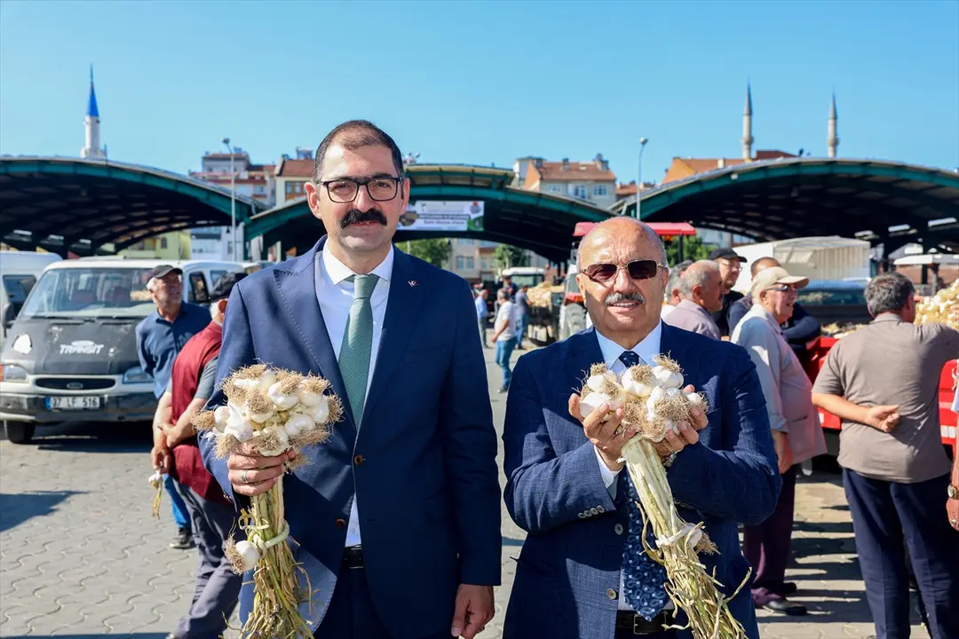 Taşköprü Sarımsak Pazarı açıldı