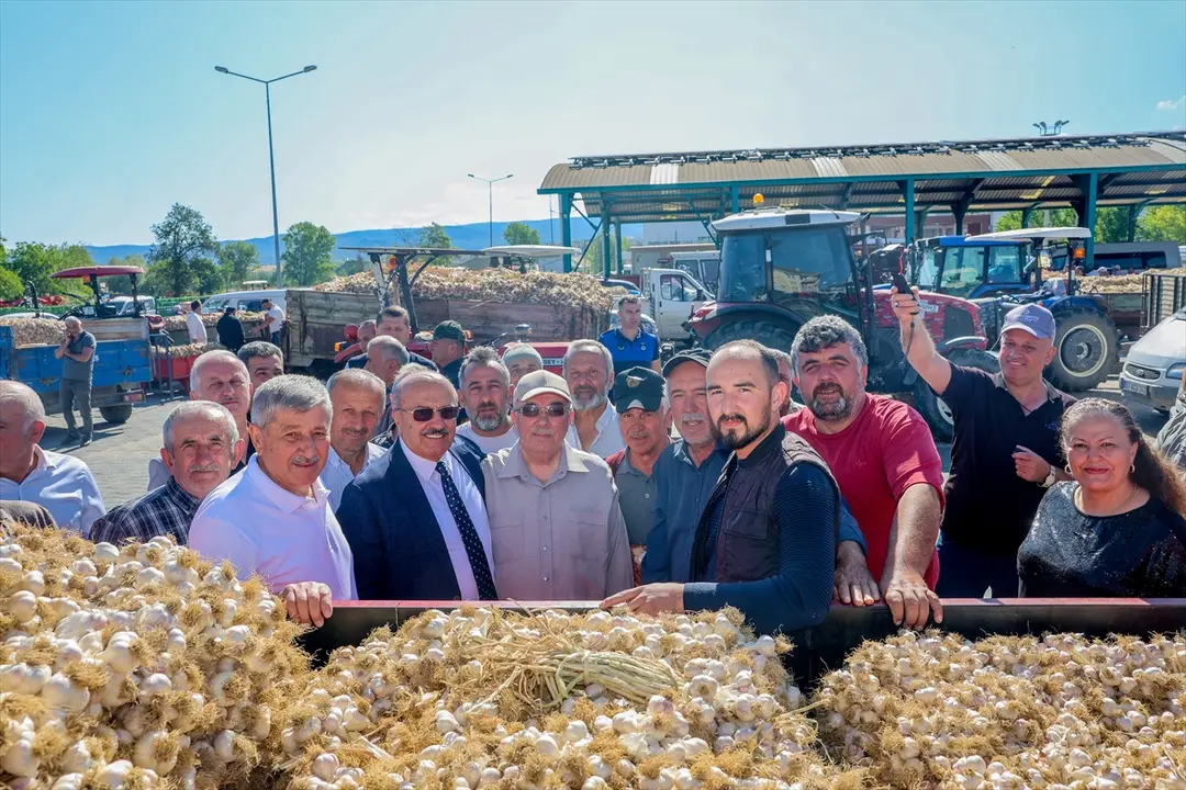 Taşköprü Sarımsak Pazarı açıldı