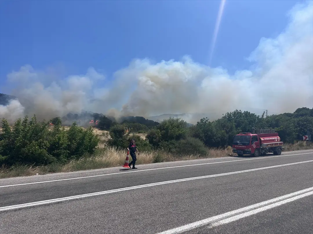 Çanakkale'de ormanlık alanda çıkan yangına müdahale ediliyor