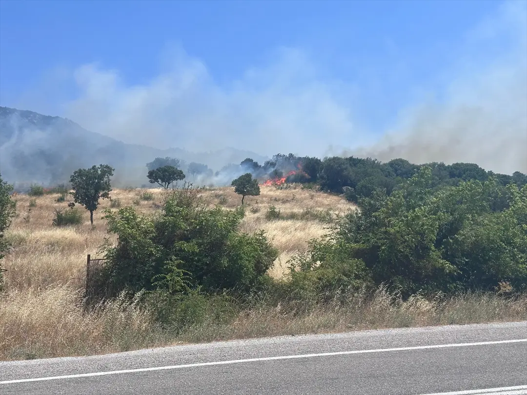 Çanakkale'de ormanlık alanda çıkan yangına müdahale ediliyor
