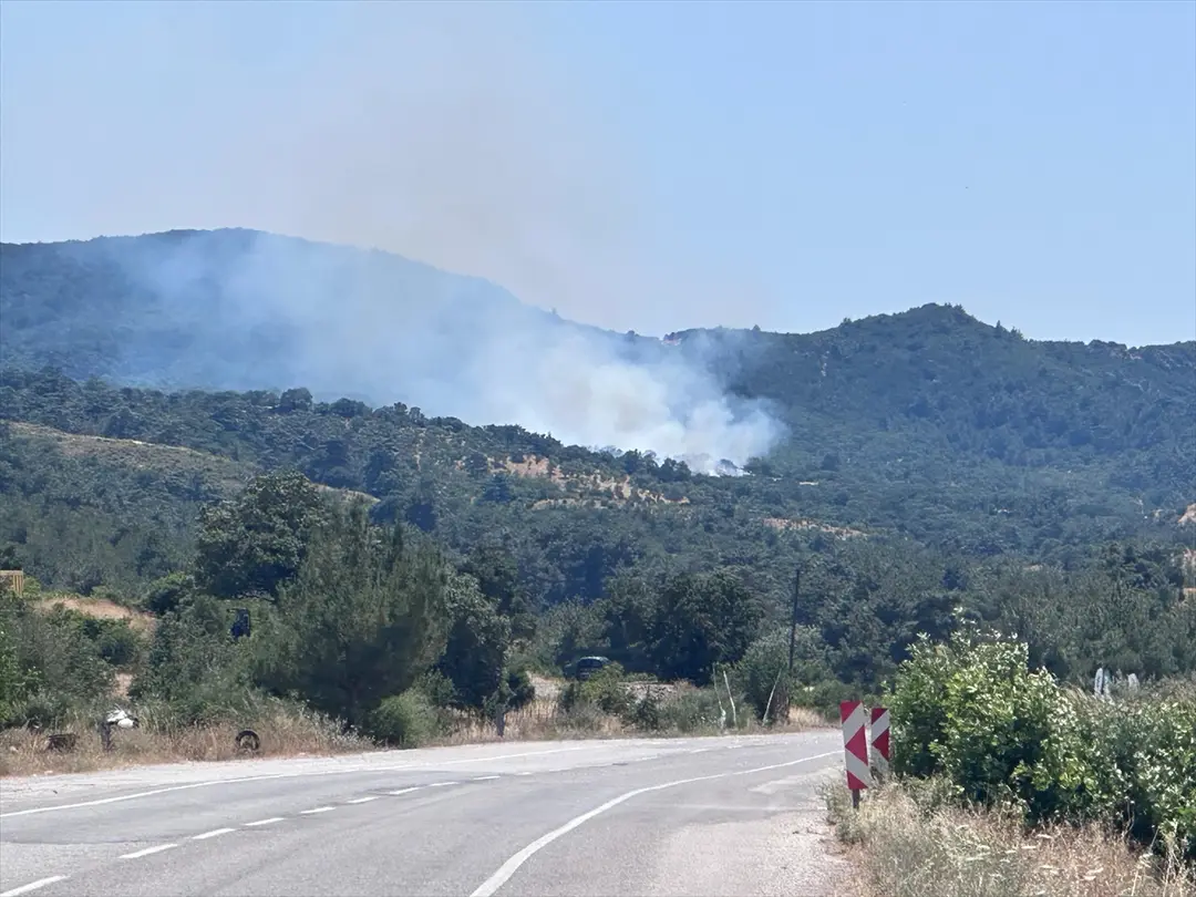 Çanakkale'de ormanlık alanda çıkan yangına müdahale ediliyor