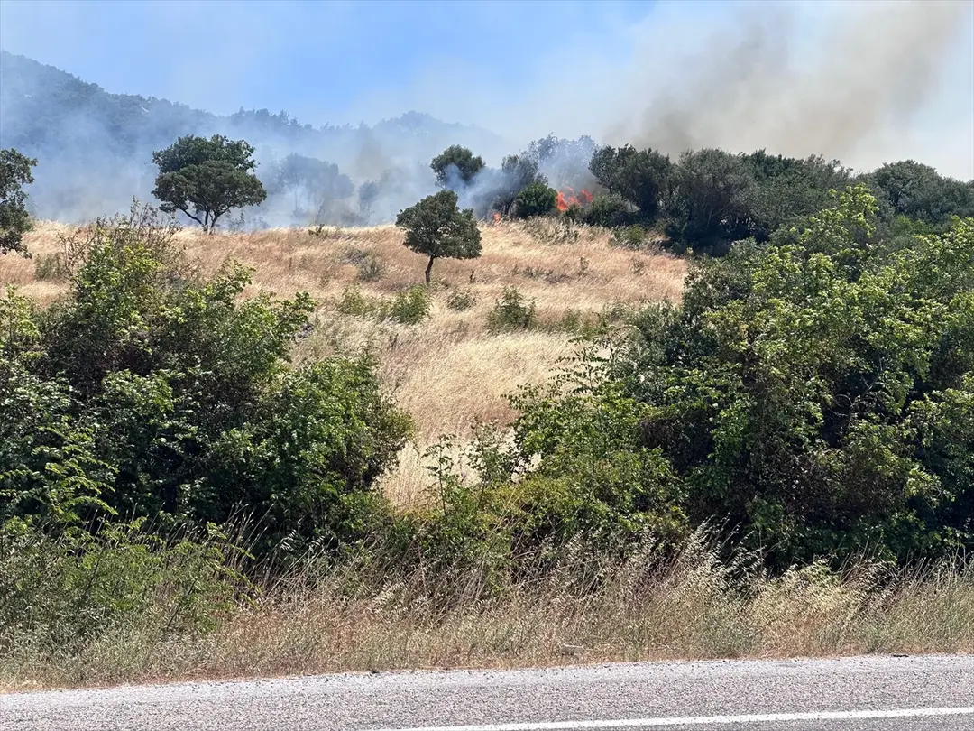 Çanakkale'de ormanlık alanda çıkan yangına müdahale ediliyor