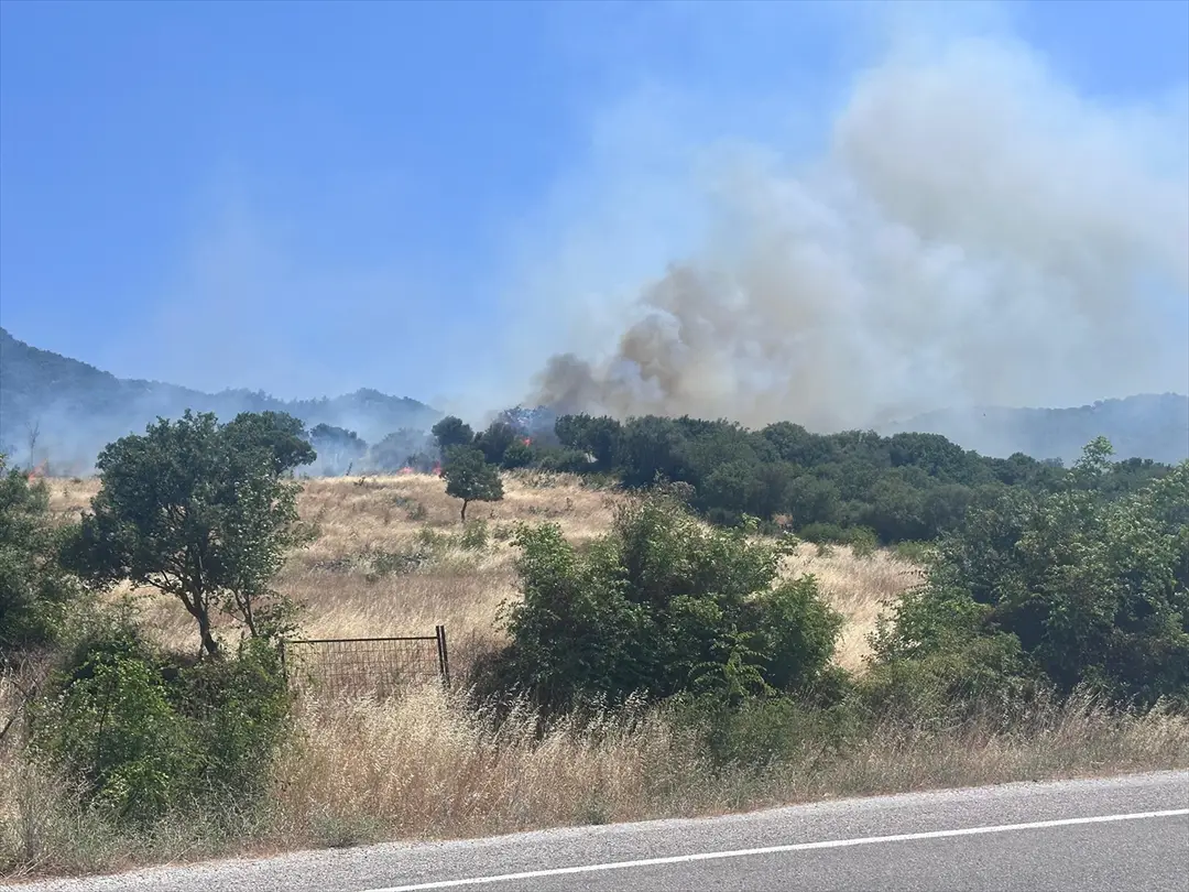 Çanakkale'de ormanlık alanda çıkan yangına müdahale ediliyor
