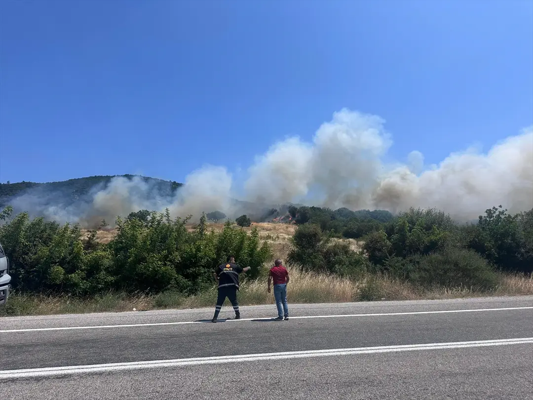 Çanakkale'de ormanlık alanda çıkan yangına müdahale ediliyor