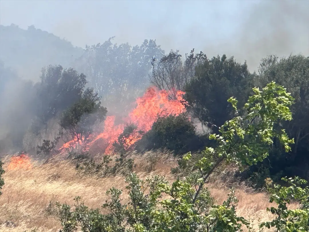Çanakkale'de ormanlık alanda çıkan yangına müdahale ediliyor