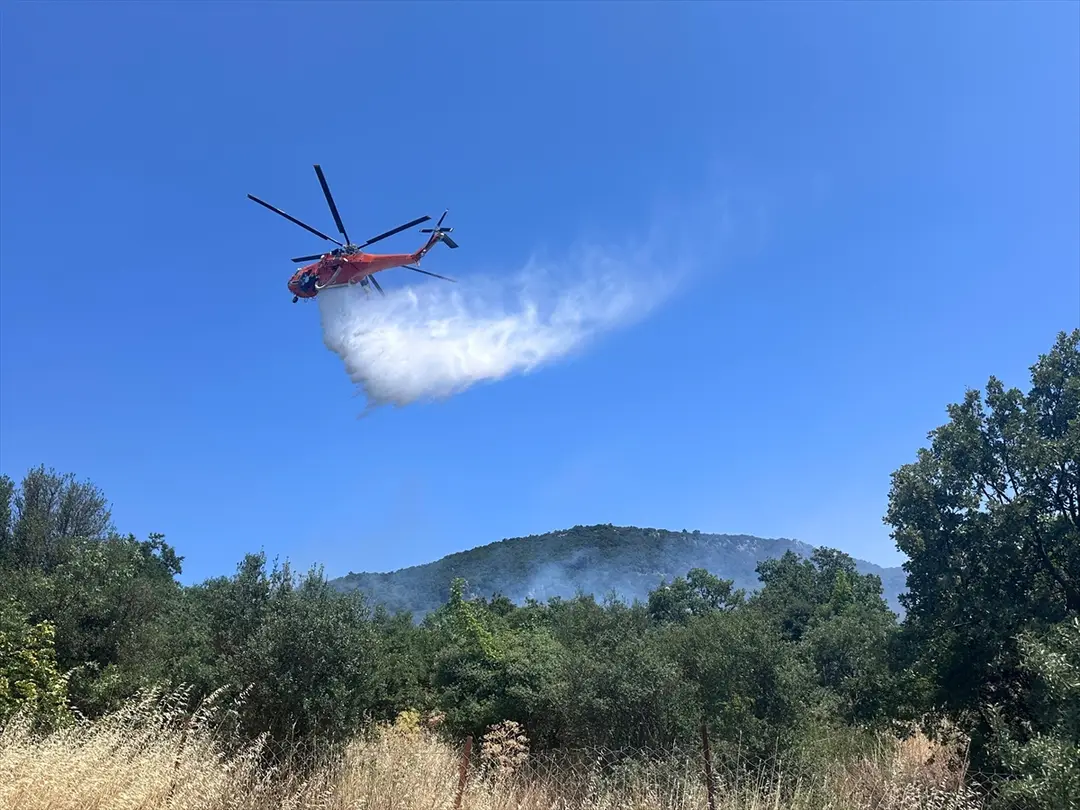 Çanakkale'de ormanlık alanda çıkan yangına müdahale ediliyor