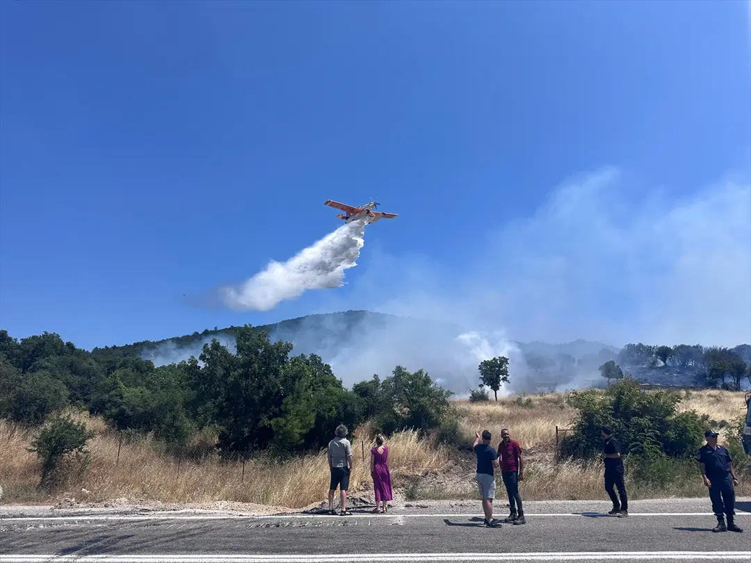 Çanakkale'de ormanlık alanda çıkan yangına müdahale ediliyor