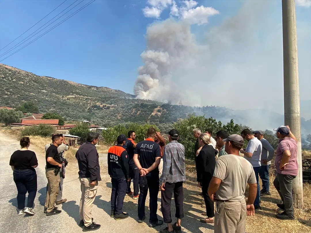 Aydın'da zeytinlik ve otluk alanda yangın çıktı