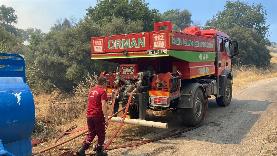 Aydın'da zeytinlik ve otluk alanda yangın çıktı