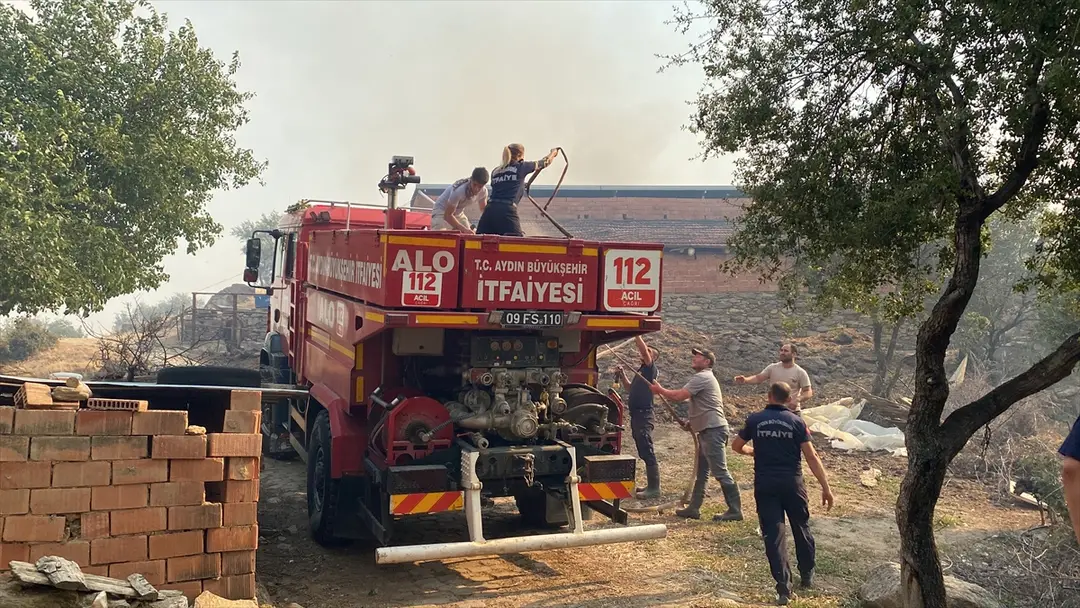Aydın'da zeytinlik ve otluk alanda çıkan yangın kontrol altına alındı