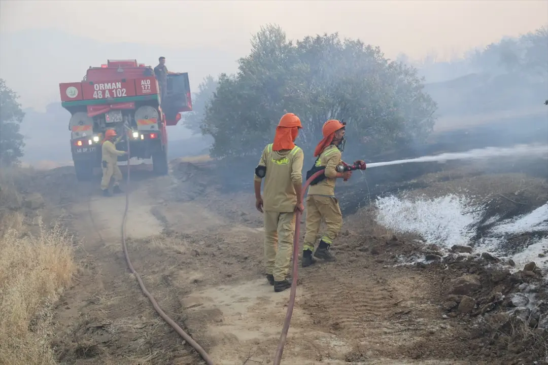 Aydın'da zeytinlik ve otluk alanda çıkan yangın kontrol altına alındı