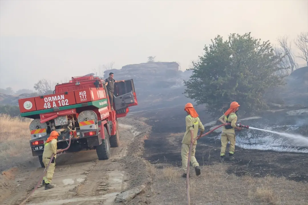 Aydın'da zeytinlik ve otluk alanda çıkan yangın kontrol altına alındı