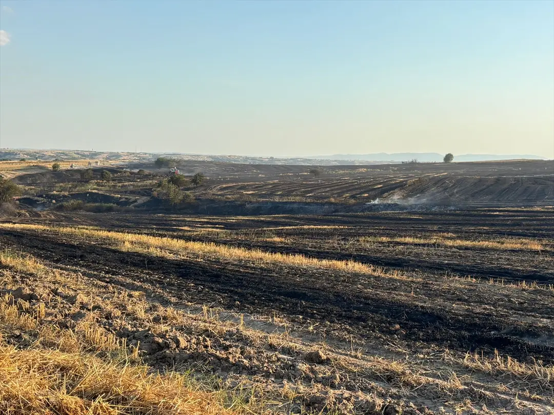 Edirne'de tarla yangını kontrol altına alındı
