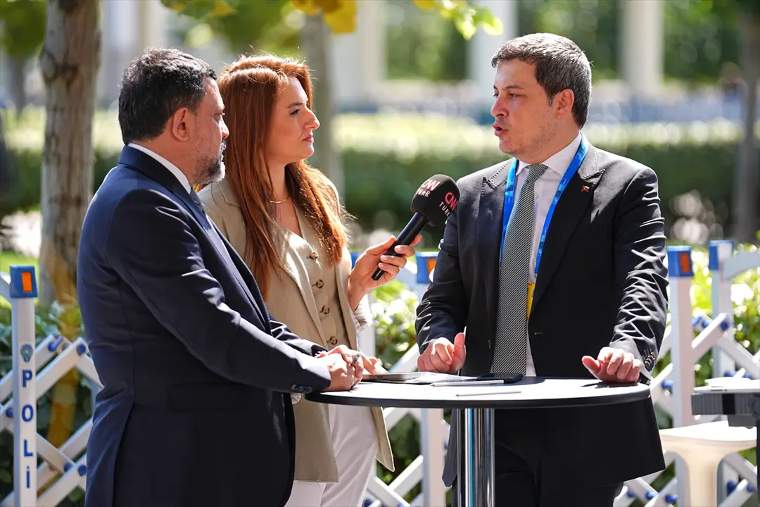 NATO ANKARA ZİRVESİ - Ankara kedileri, zirveyi takip eden yabancı gazetecilerin ilgi odağı oldu