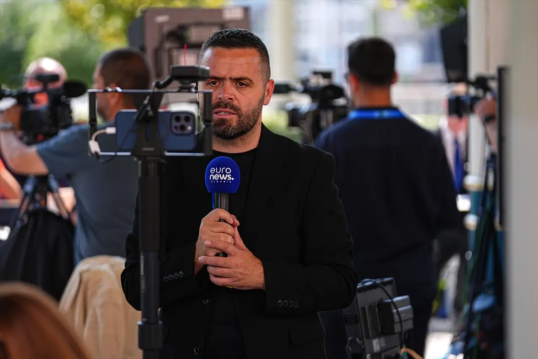 NATO ANKARA ZİRVESİ - Ankara kedileri, zirveyi takip eden yabancı gazetecilerin ilgi odağı oldu