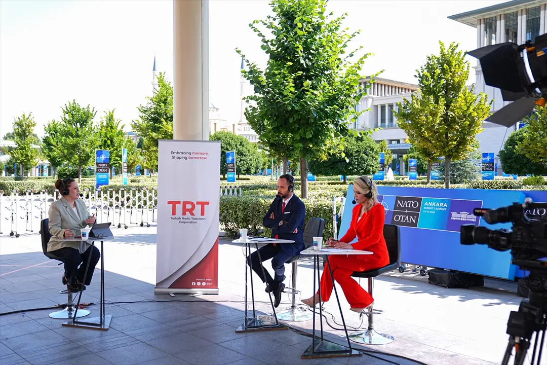 NATO ANKARA ZİRVESİ - Ankara kedileri, zirveyi takip eden yabancı gazetecilerin ilgi odağı oldu