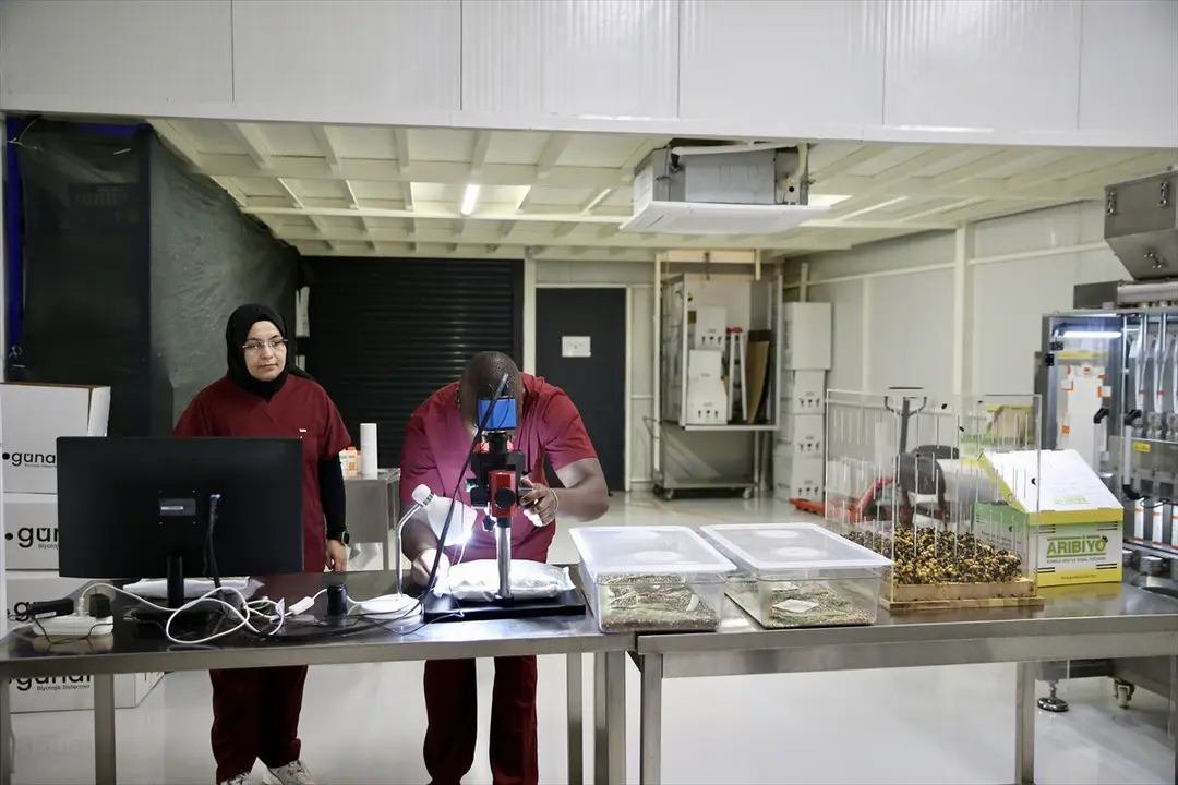 Bakan Yumaklı: Pestisit kullanımı için 'Kalıntı Eylem Planı' uyguluyoruz