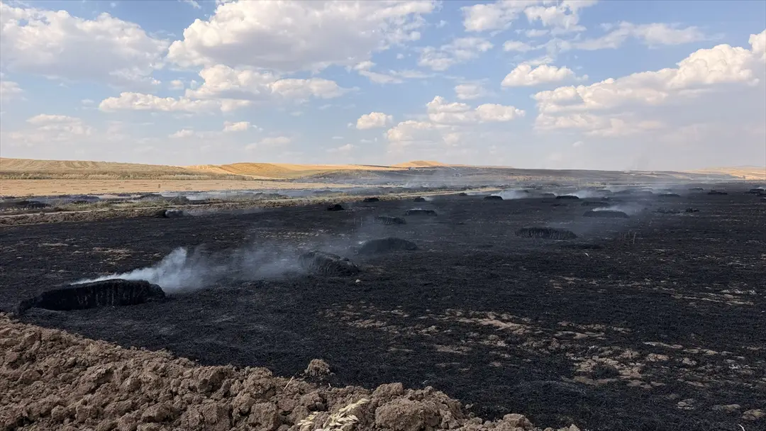 Yozgat'ta hububat tarlası yandı: 150 dekar zarar